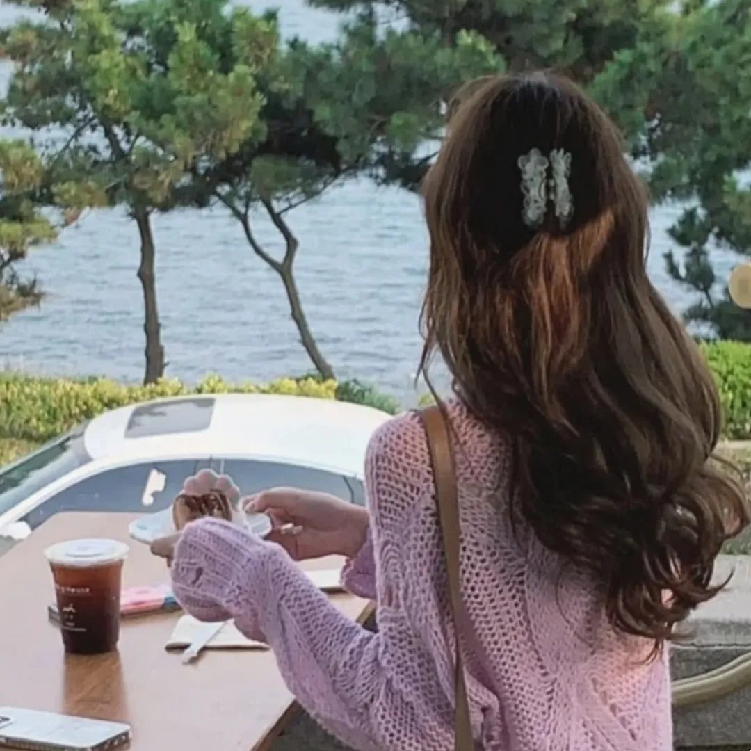 海豚的故事2